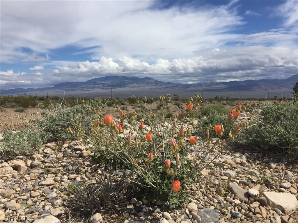 Kyle Canyon Road photo 4