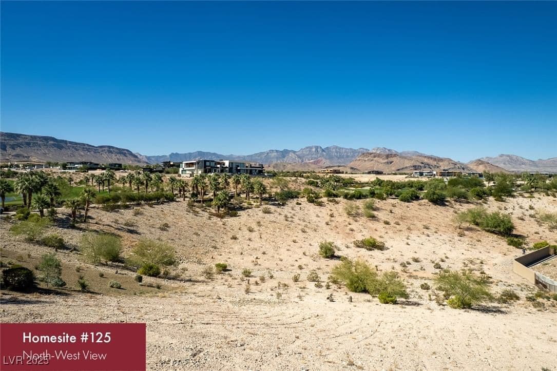 11118 Canyon Pass Drive photo 5