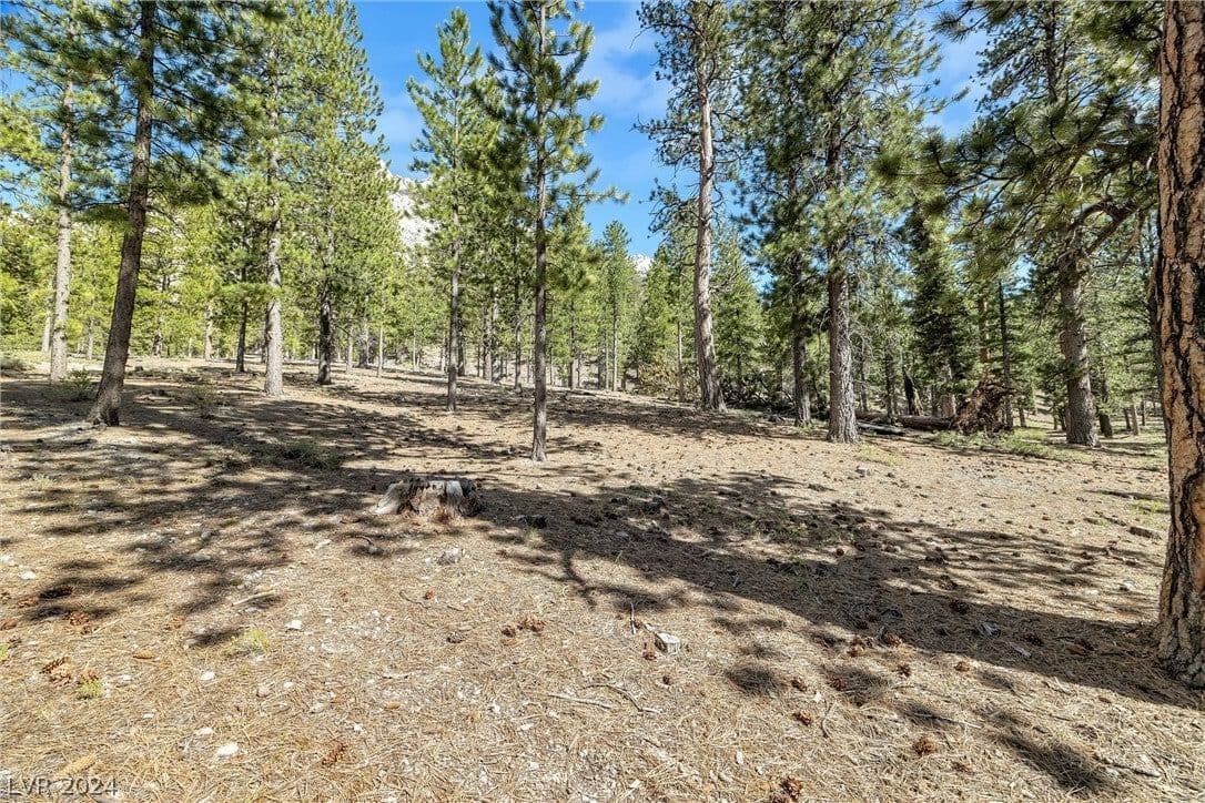 Lee Canyon Road photo 4