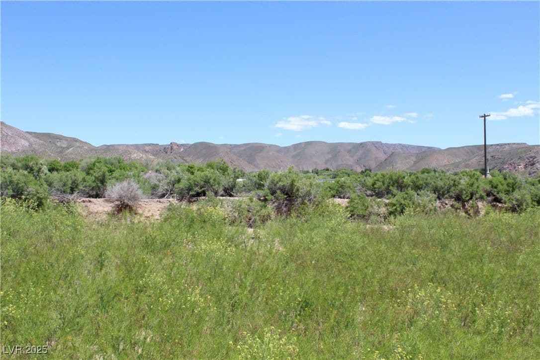 Mobile - RV Estates - 14.54 Acres photo 5