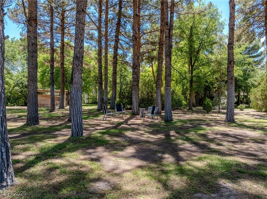 2221 Windsong Lane photo 5