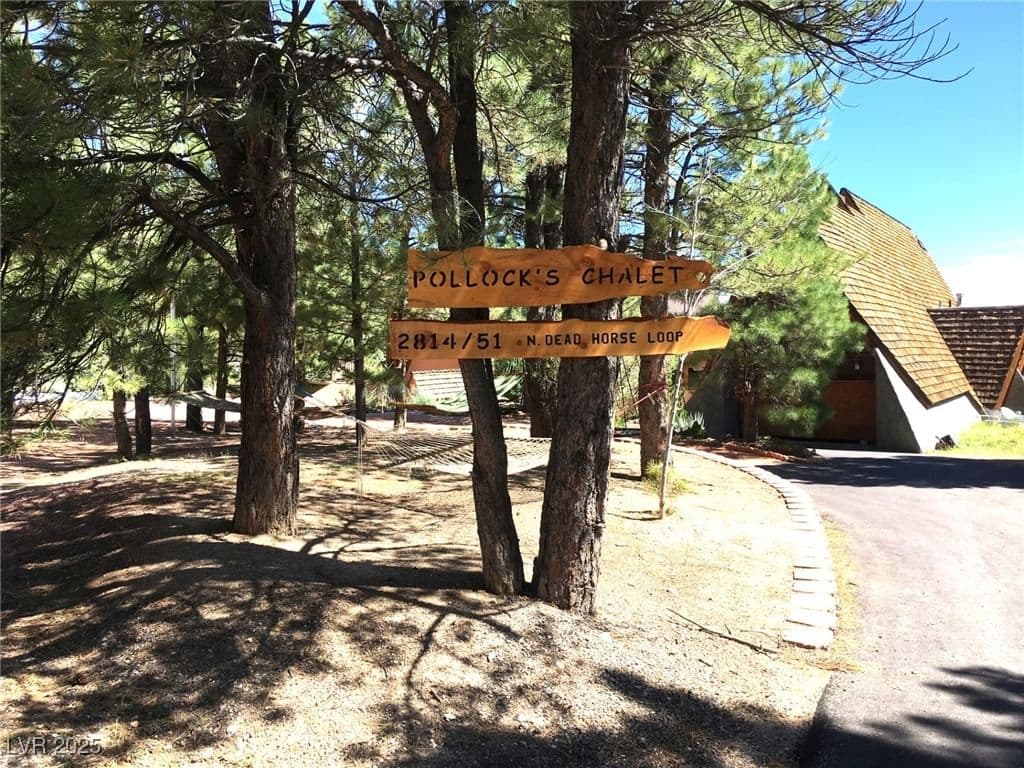 2814 Dead Horse Loop photo 4