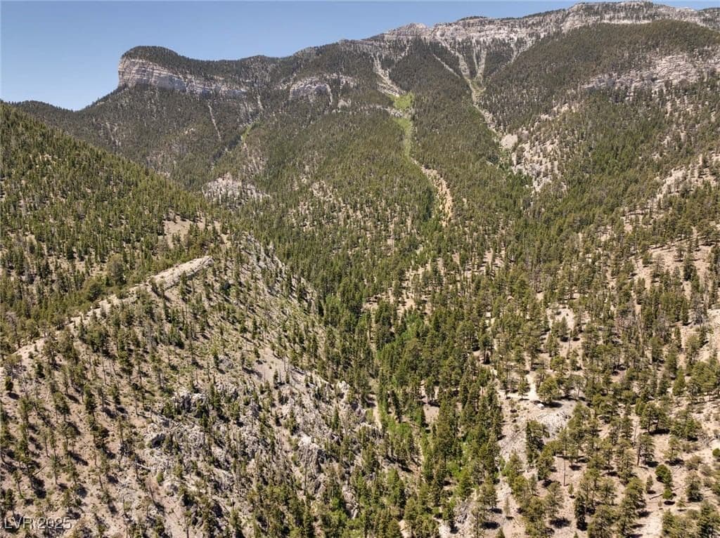 4085 Cougar Ridge Trail photo 3