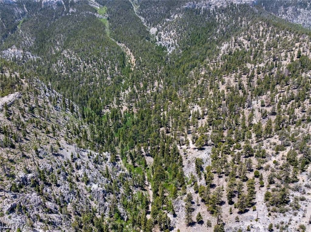 4085 Cougar Ridge Trail photo 5