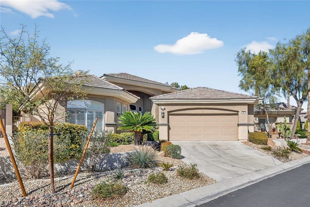 541 Summer Mesa Drive photo 3