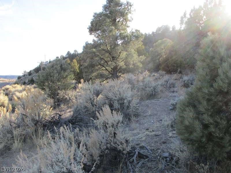 NV Hwy 322 (30.15 Ac) photo 4