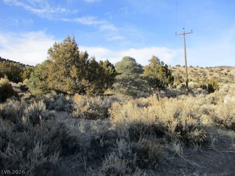 NV Hwy 322 (30.15 Ac) photo 2