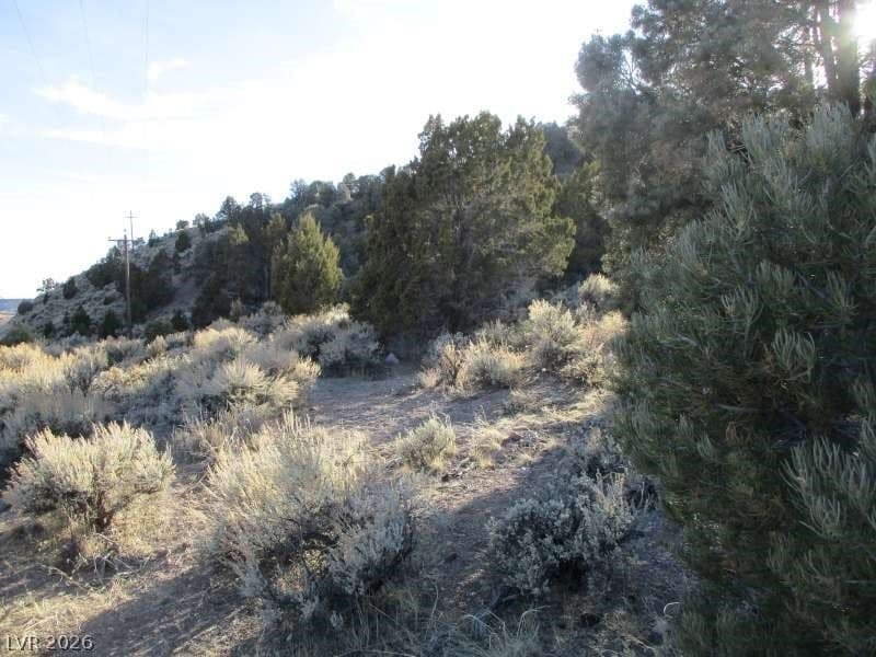 NV Hwy 322 (30.15 Ac) photo 5