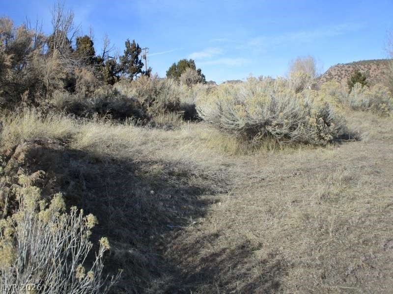 NV Hwy 322 (30.15 Ac) photo 3