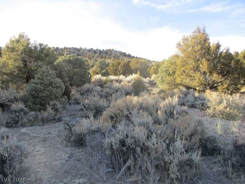 NV Hwy 322 (30.15 Ac)