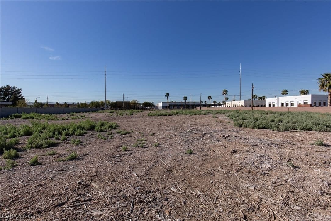 3842 Patrick Lane photo 5