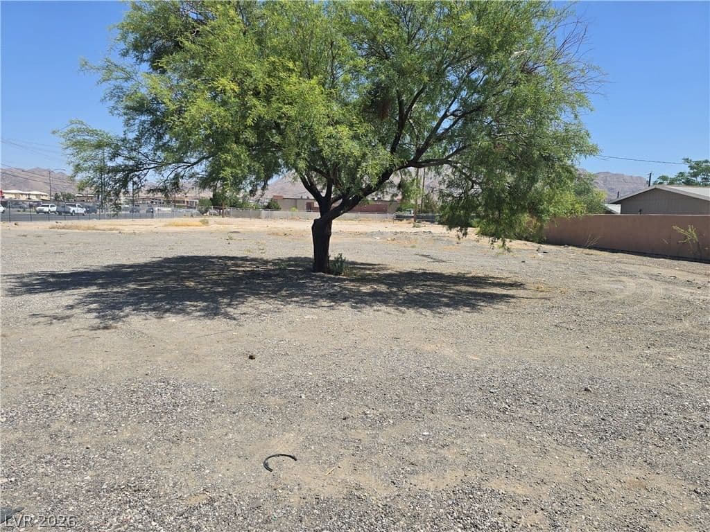 Christy & Lake Mead photo 4