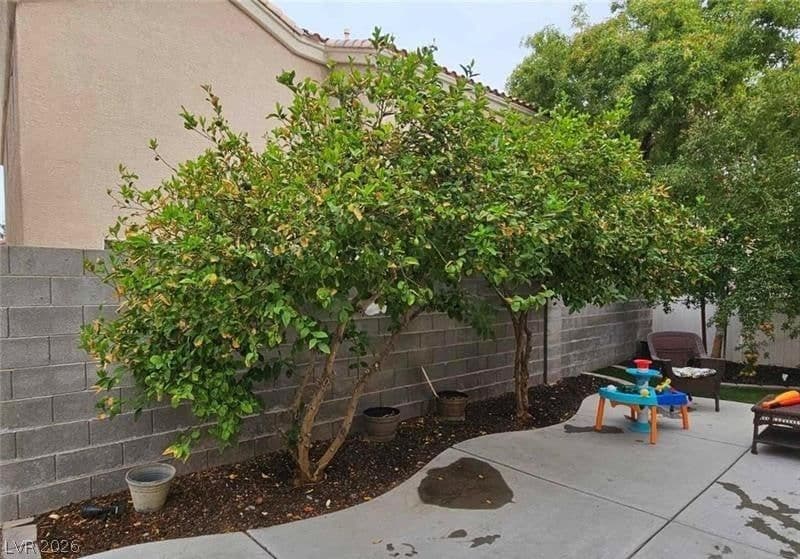 5901 Aimless Street photo 5