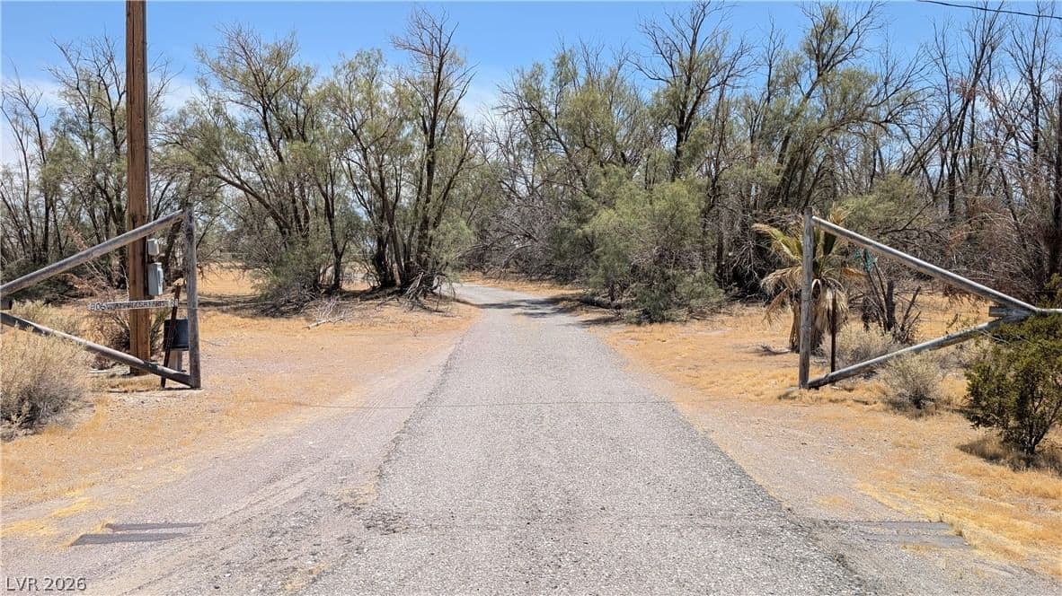 3061 Amargosa Farm Road photo 5