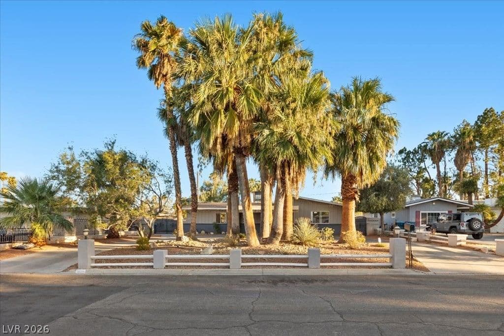 4429 Marlena Circle photo 3