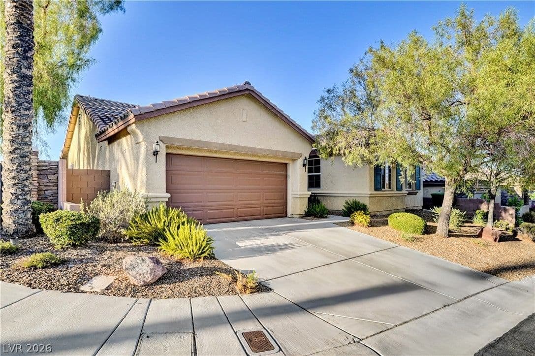 9928 Tradition Creek Avenue photo 3