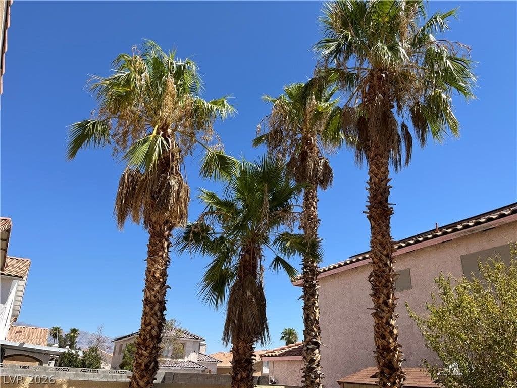 5028 Jacarilla Lane photo 2