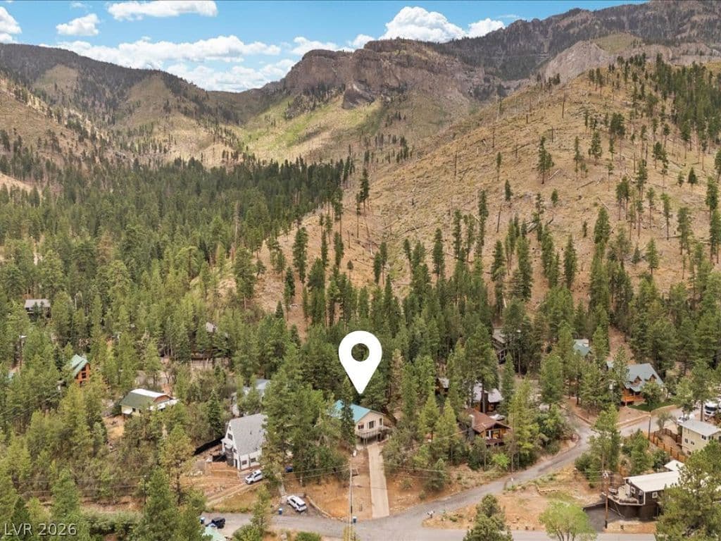 314 Alpine Way photo 4