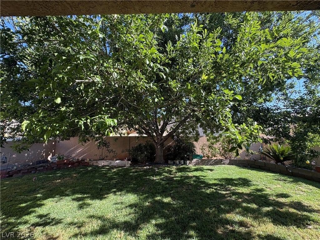 132 Cora Hills Court photo 3