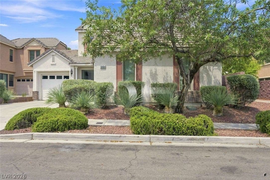10464 Calico Pines Avenue photo 2