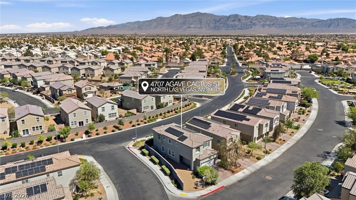 4707 Agave Cactus Street photo 2