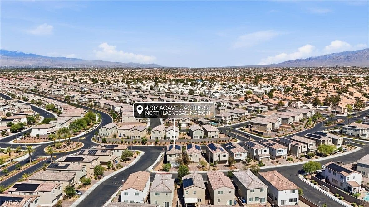 4707 Agave Cactus Street photo 4
