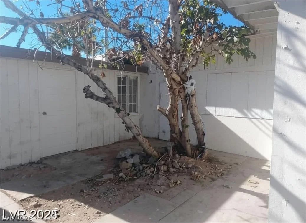 1317 Exley Avenue photo 3