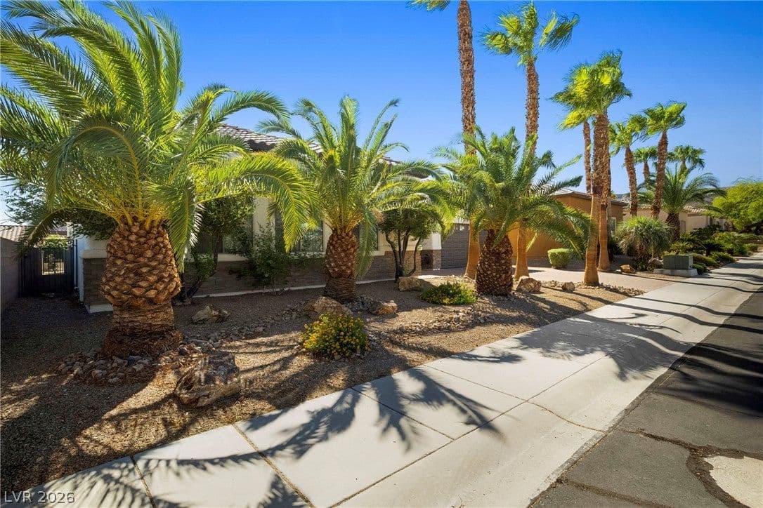 246 Calle Palacio Street photo 2